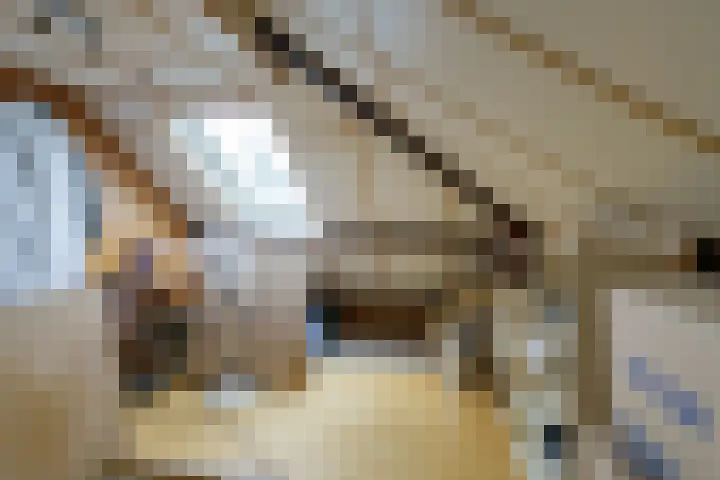 Bogardeind 78 A Geldrop thumbnail 42