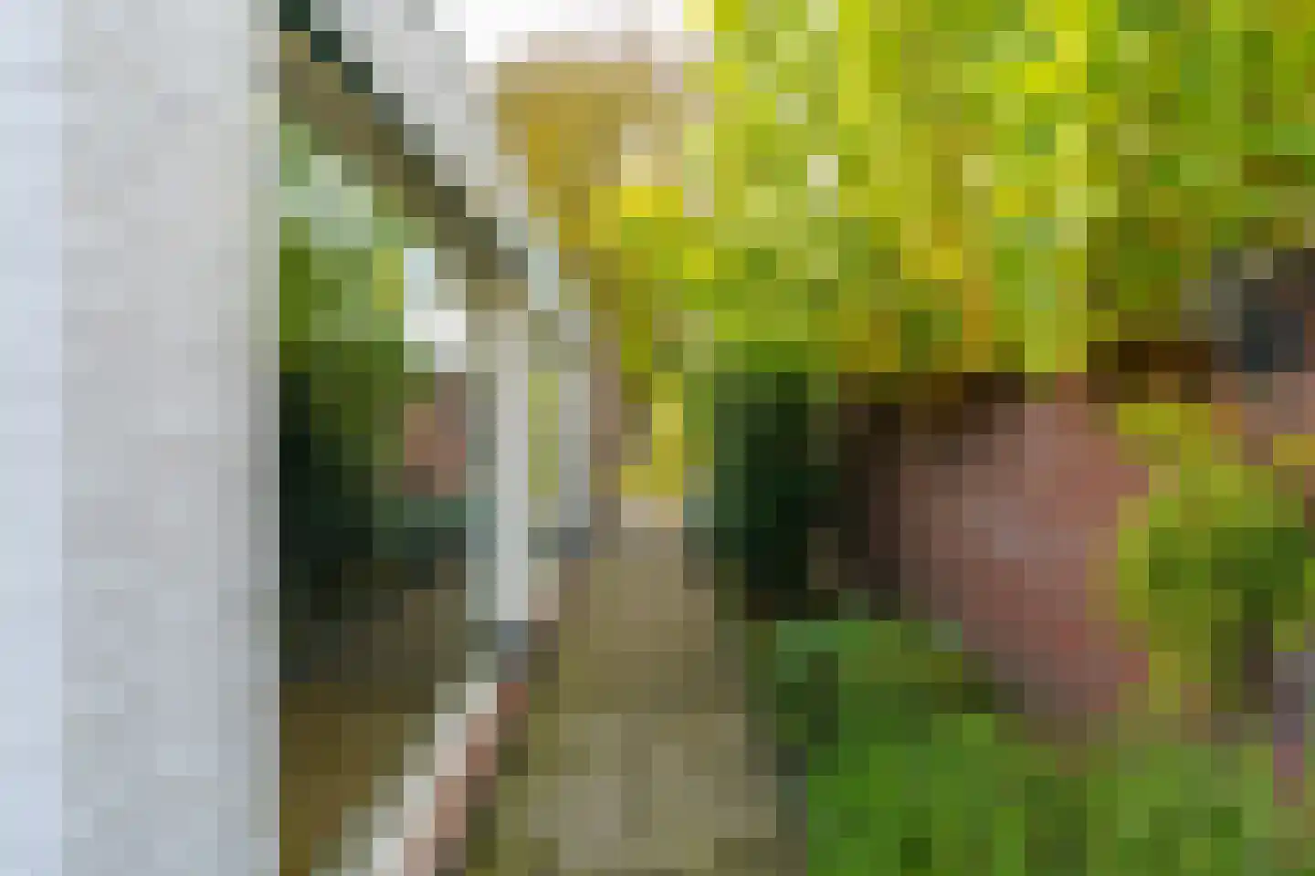 Bogardeind 78 A Geldrop thumbnail 45