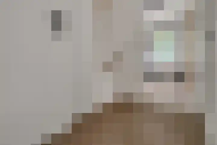 Bögelskamphoek 121 Enschede thumbnail 22