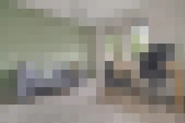 Bögelskamphoek 121 Enschede thumbnail 32