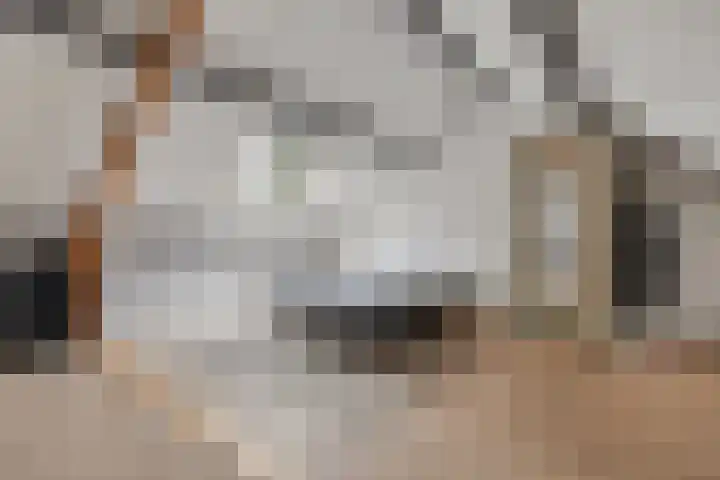 Bögelskamphoek 121 Enschede thumbnail 36