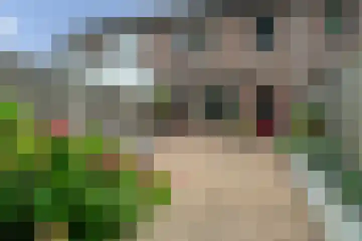 Bögelskamphoek 121 Enschede thumbnail 38