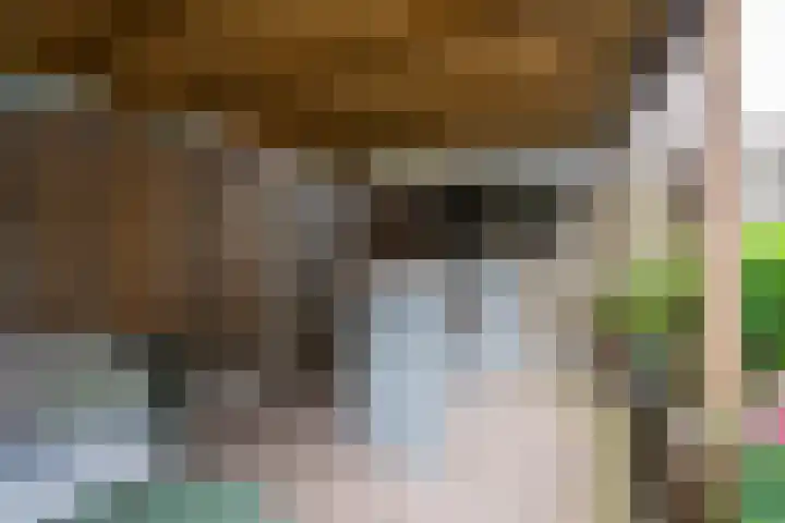 Bögelskamphoek 121 Enschede thumbnail 41