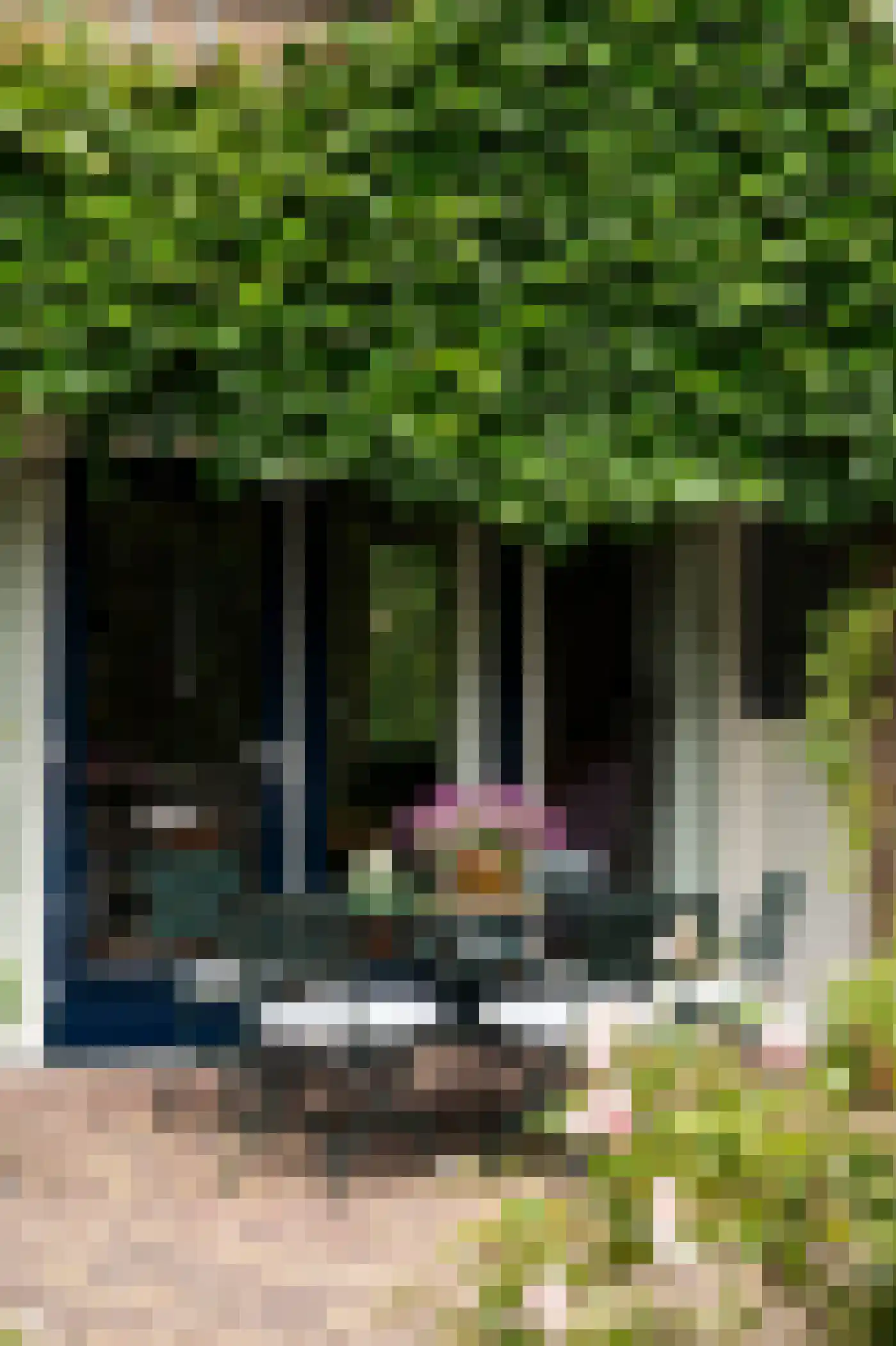 Bogen 57 Gouda thumbnail 10