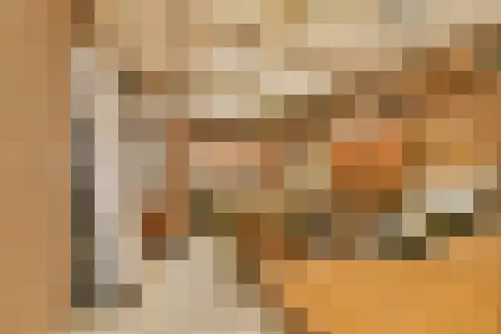 Bogen 57 Gouda thumbnail 11