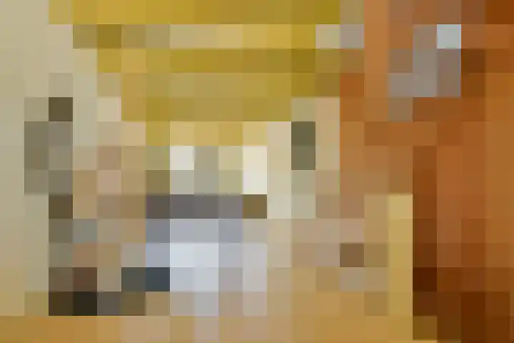 Bogen 57 Gouda thumbnail 13