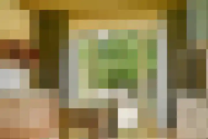 Bogen 57 Gouda thumbnail 22