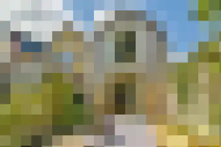Bogen 57 Gouda thumbnail 23