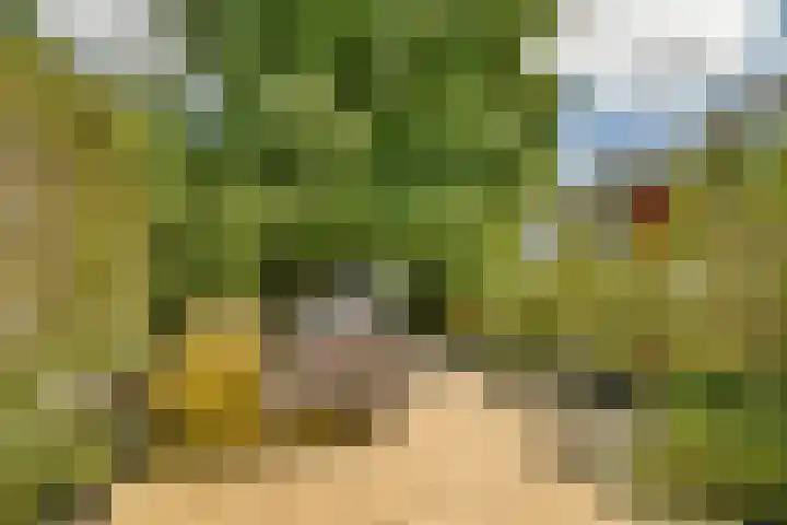 Bogen 57 Gouda thumbnail 26