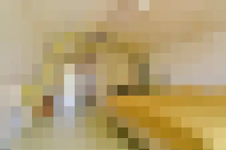 Bogen 57 Gouda thumbnail 28