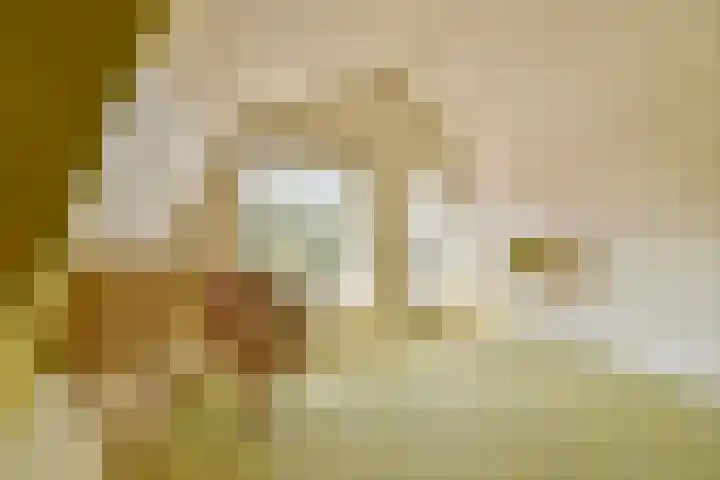 Bogen 57 Gouda thumbnail 30