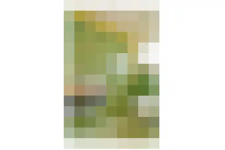 Bogen 57 Gouda thumbnail 34