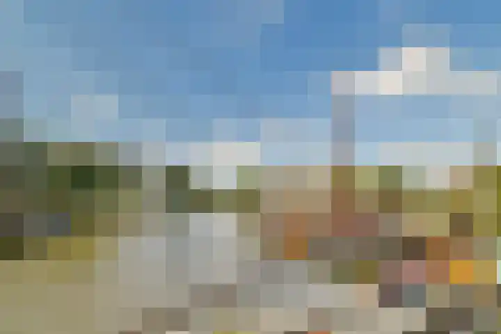 Bogen 57 Gouda thumbnail 35