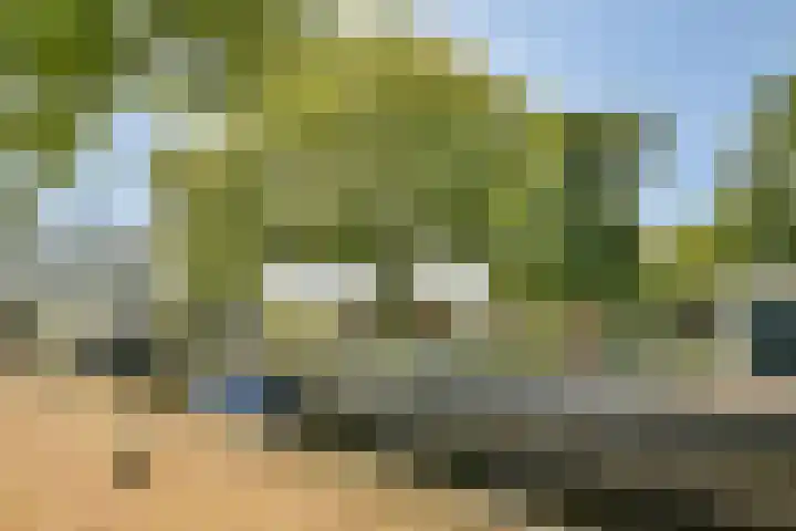 Bogen 57 Gouda thumbnail 36