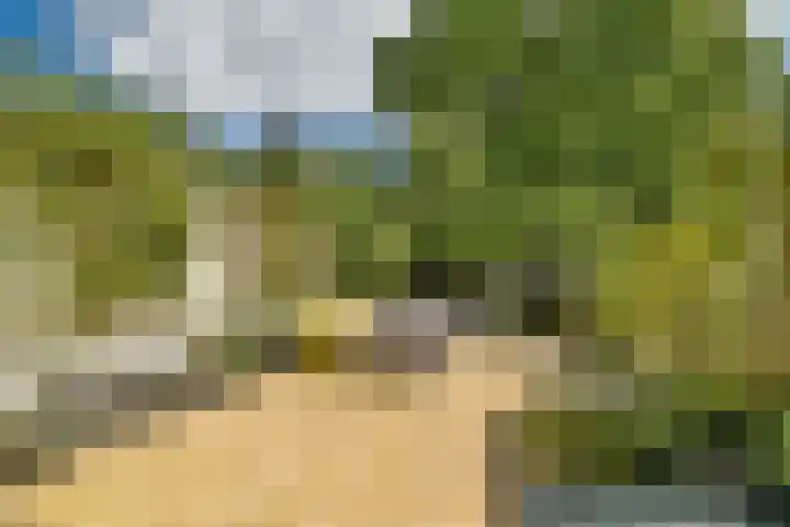 Bogen 57 Gouda thumbnail 4