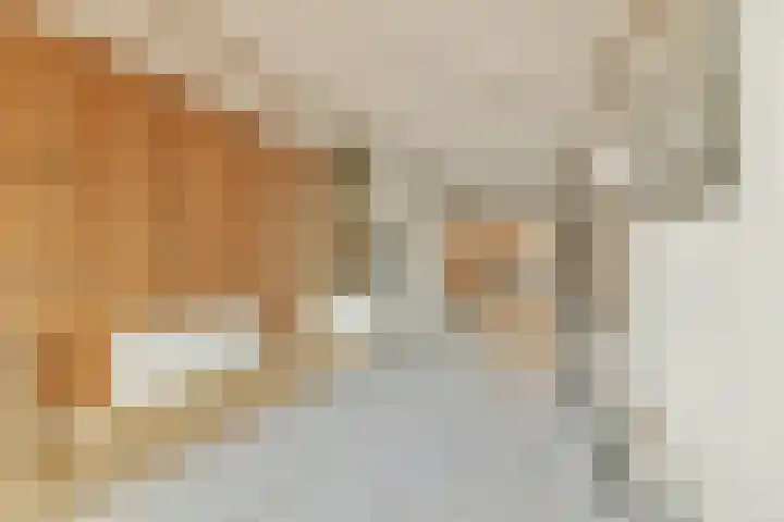 Bogen 57 Gouda thumbnail 8