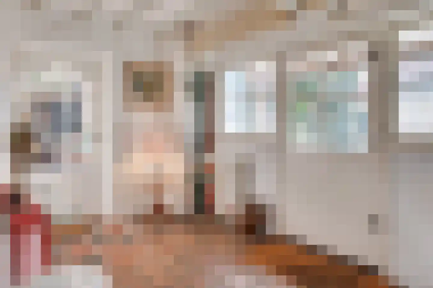 Bogenstraat 18 Thorn thumbnail 28