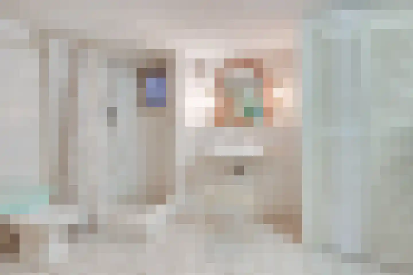Bogenstraat 18 Thorn thumbnail 36