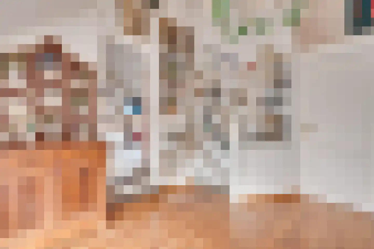 Bogenstraat 18 Thorn thumbnail 41