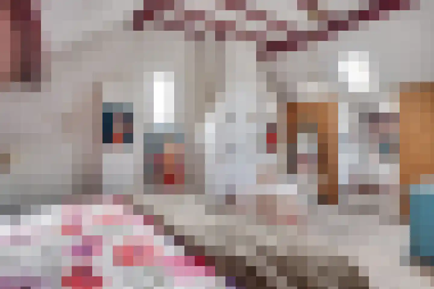 Bogenstraat 18 Thorn thumbnail 50