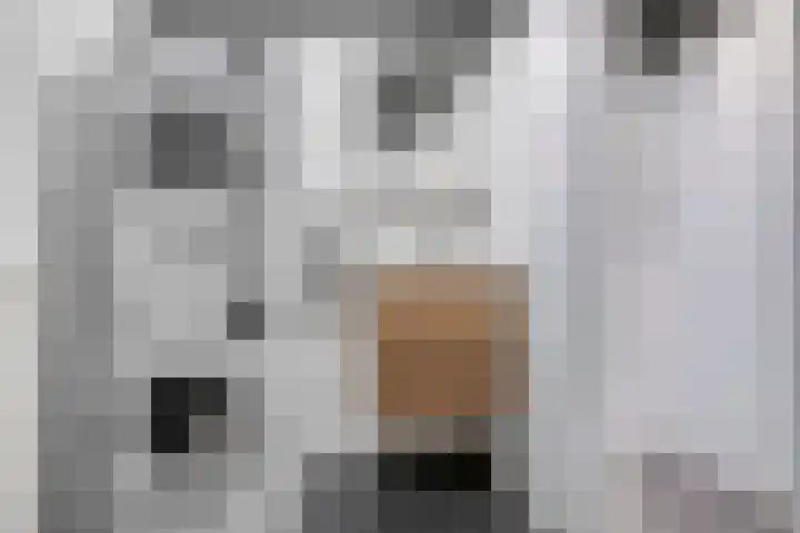 Bogenstraat 18 Thorn thumbnail 54