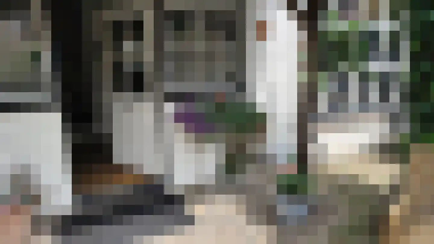 Bogenstraat 18 Thorn thumbnail 54