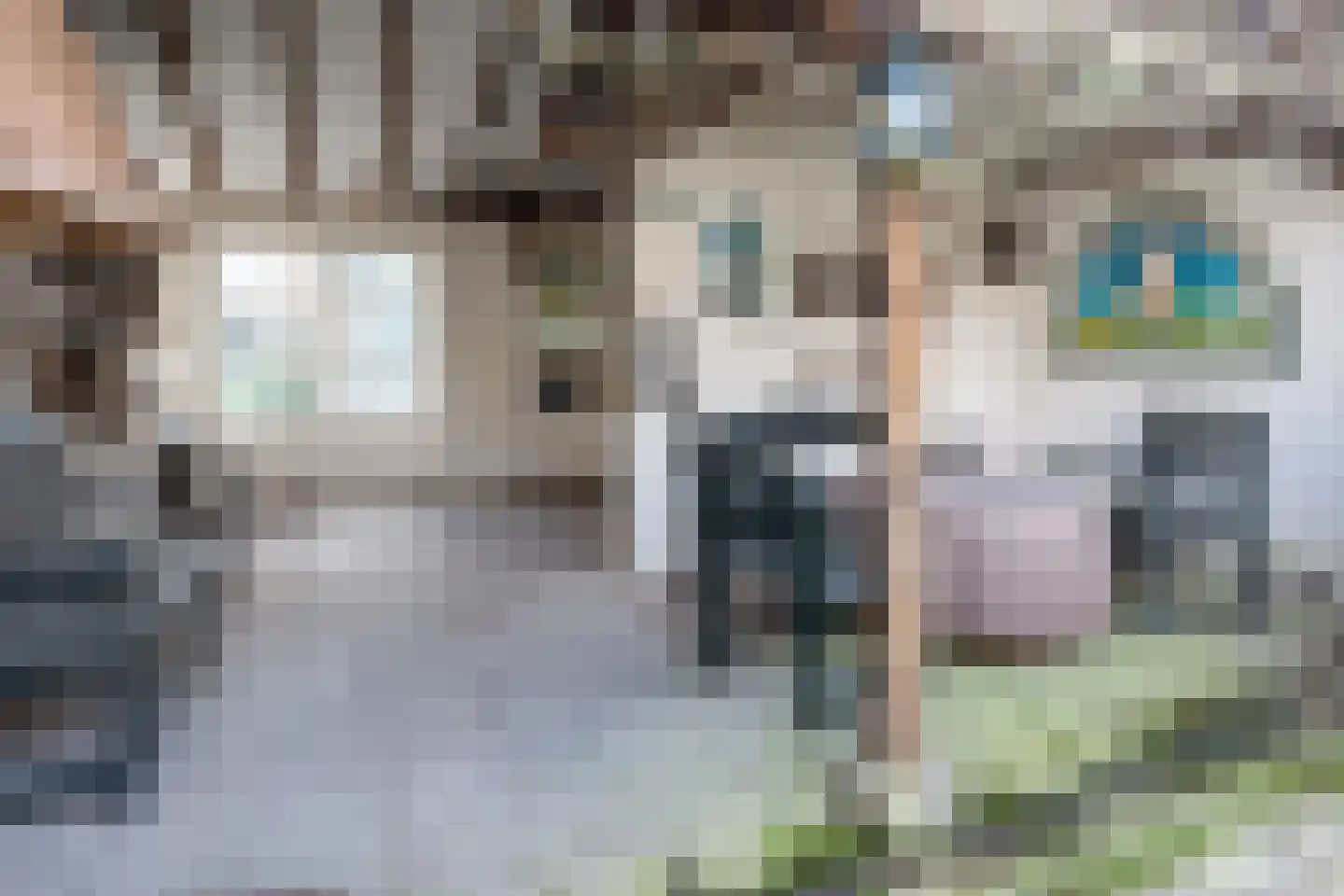 Bogenstraat 18 Thorn thumbnail 56