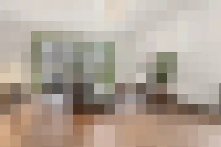 Bogenstraat 18 Thorn thumbnail 57