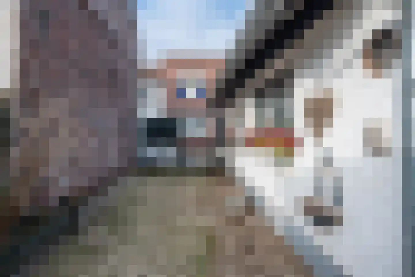 Bogenstraat 18 Thorn thumbnail 57