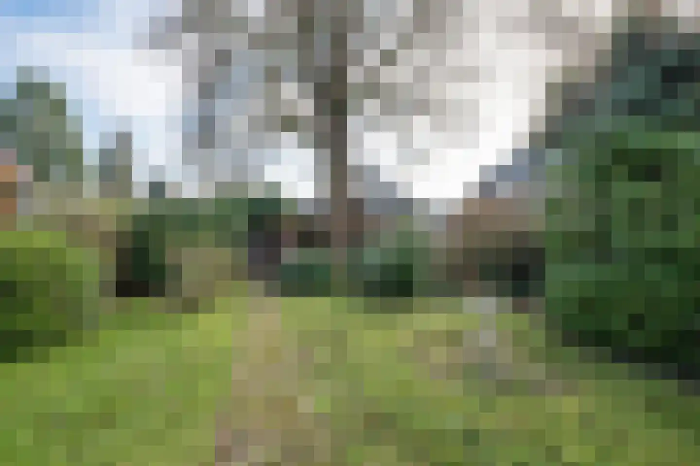 Bogenstraat 18 Thorn thumbnail 61
