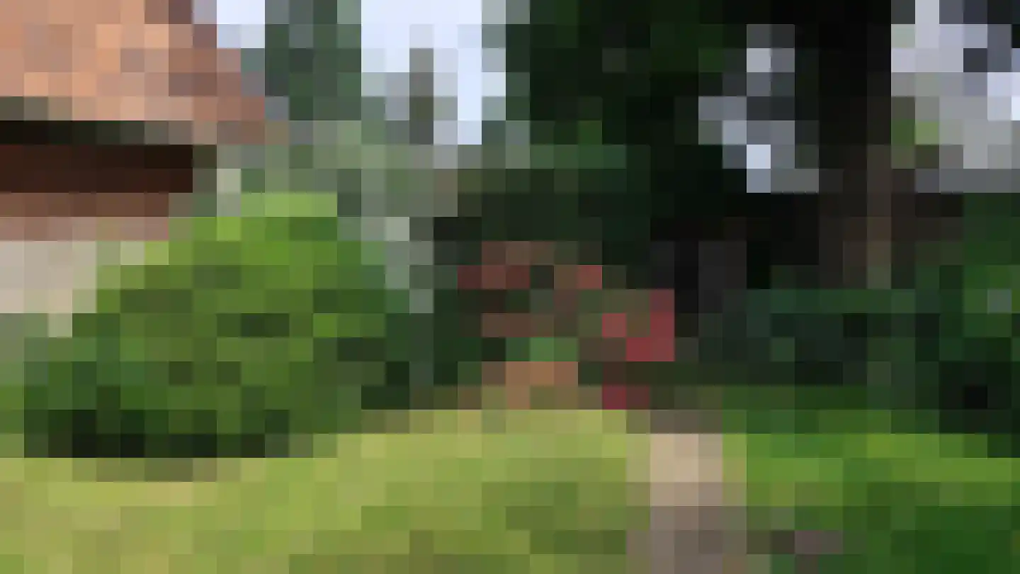 Bogenstraat 18 Thorn thumbnail 63