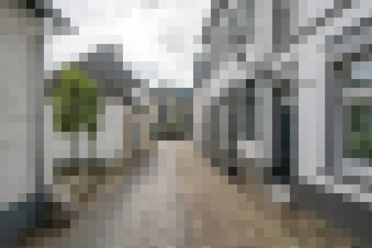 Bogenstraat 18 Thorn thumbnail 70