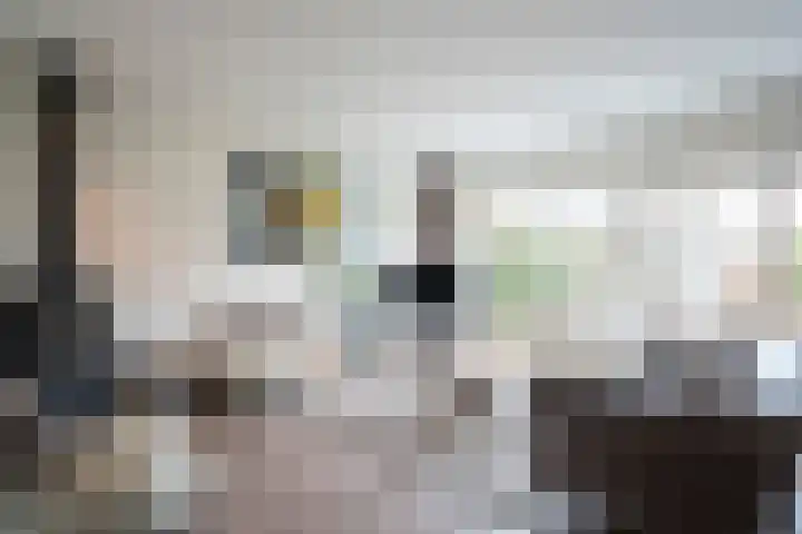 Bogerd 18 Leerdam foto 2