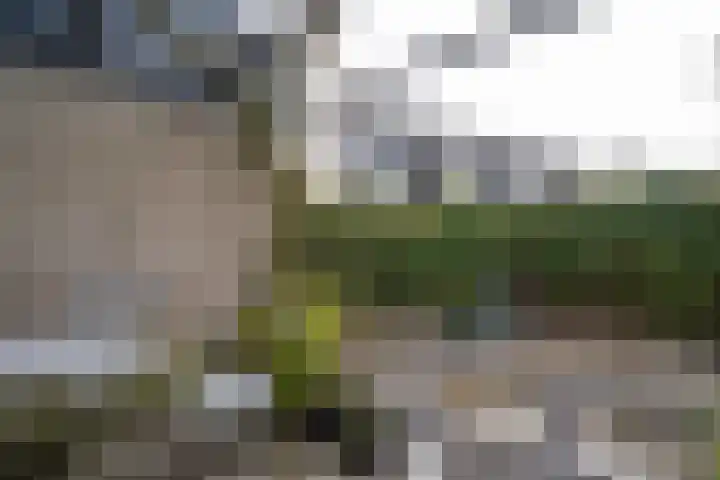 Bogerd 18 Leerdam thumbnail 33