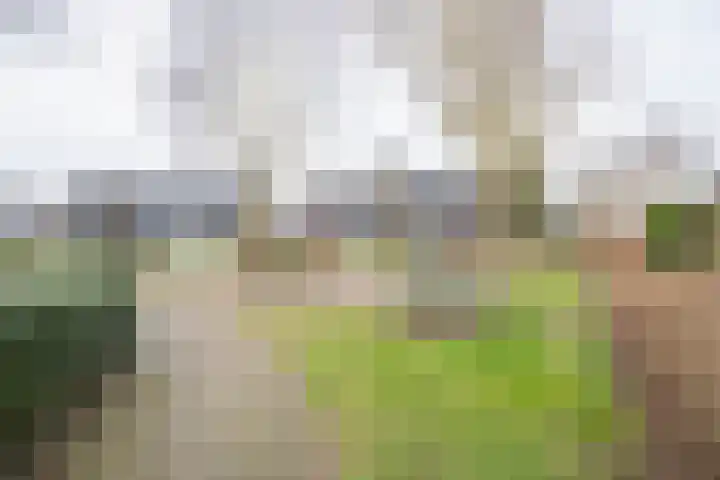 Bogerd 18 Leerdam thumbnail 35