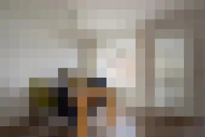 Bogerd 24 Eersel thumbnail 9
