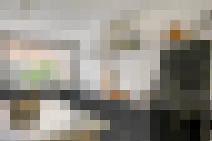 Bogerd 61 Leerdam thumbnail 12