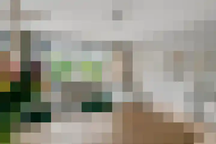 Bogerd 61 Leerdam thumbnail 19