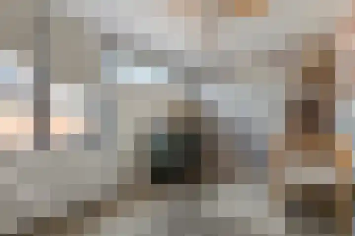 Bogerd 61 Leerdam thumbnail 29