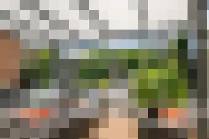Bogerd 61 Leerdam thumbnail 41