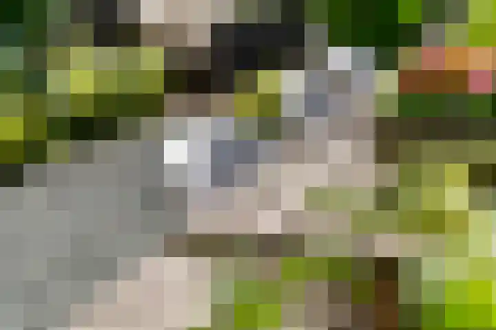 Bogerd 61 Leerdam thumbnail 44