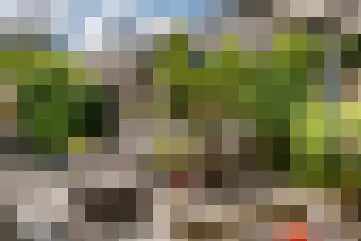 Bogerd 61 Leerdam thumbnail 45
