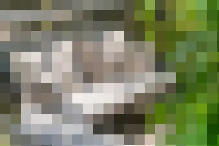 Bogerd 61 Leerdam thumbnail 48