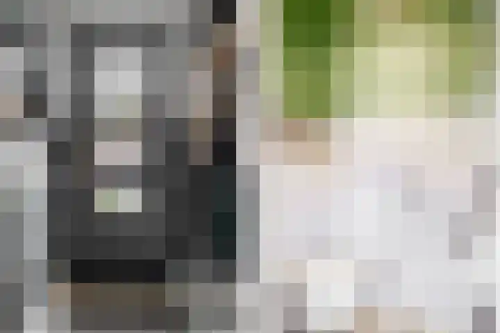 Bogerdlaan 8 Limmen thumbnail 19