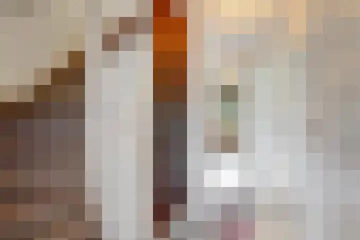 Bogerdlaan 8 Limmen thumbnail 21