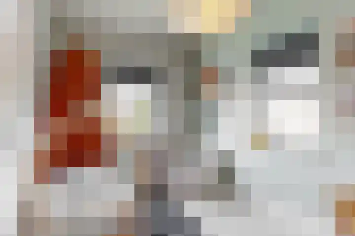 Bogerdlaan 8 Limmen thumbnail 27