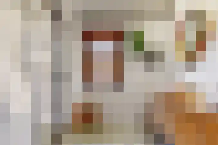 Bogerdlaan 8 Limmen thumbnail 29