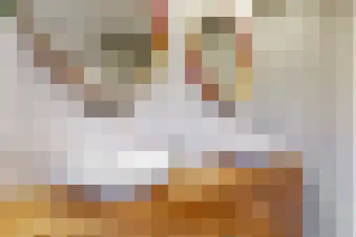 Bogerdlaan 8 Limmen thumbnail 31