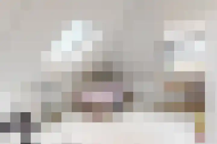 Bogerdlaan 8 Limmen thumbnail 34