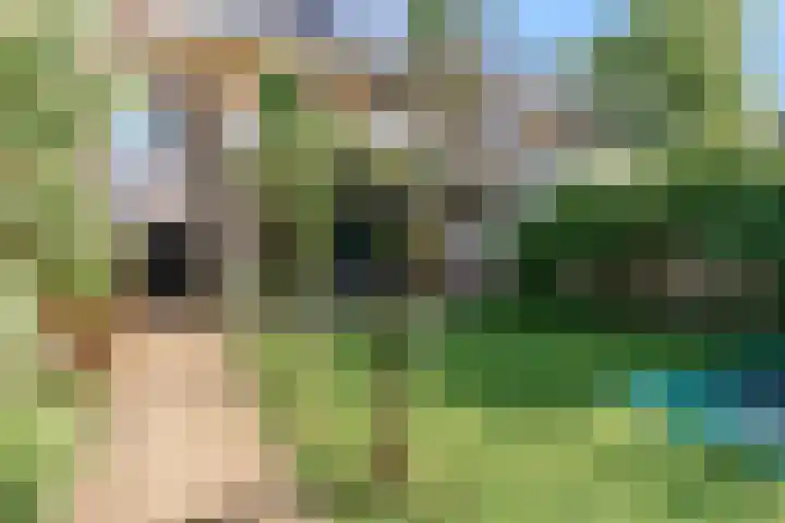 Bogerdlaan 8 Limmen thumbnail 41